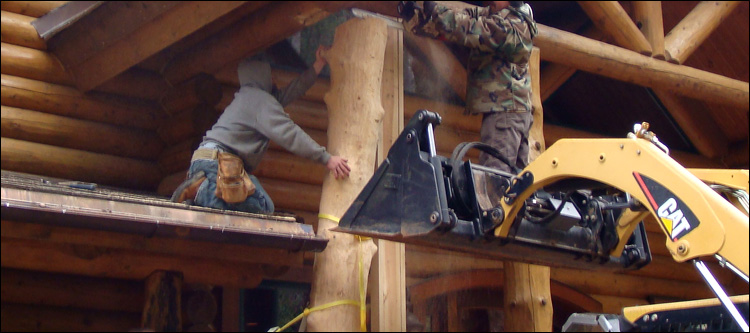 Log Home Log Replacement  King George County, Virginia