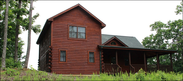 Professional Log Home Borate Application  King George County, Virginia