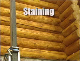  King George County, Virginia Log Home Staining